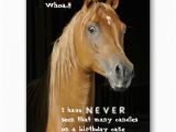 Horse Birthday Cards Free 102 Best Images About Horse Birthday Quotes On Pinterest