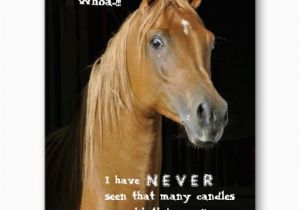 Horse Birthday Cards Free 102 Best Images About Horse Birthday Quotes On Pinterest