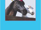 Horse Birthday Cards Free Funny Ecards Directly to Your Recipient 39 S Inbox