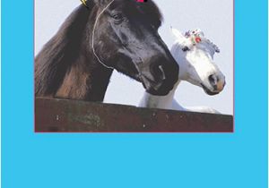 Horse Birthday Cards Free Funny Ecards Directly to Your Recipient 39 S Inbox
