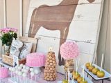 Horse Decorations for Birthday Party 10 Rustic Kids Birthday Party Ideas Rustic Baby Chic