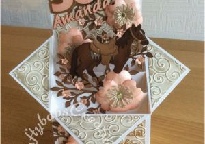 Horse themed Birthday Cards Horse themed 50th Birthday Card Craftybabs Creative Crafts