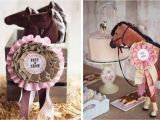 Horse themed Birthday Party Decorations Horse themed Birthday Party Activities Home Party Ideas