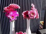 Hot Pink and Black Birthday Decorations Hot Pink and Black Birthday Party Ideas Photo 5 Of 7