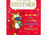 Humorous Birthday Cards for Brother Brother Birthday Card Funny Rude Humorous Greetings Card