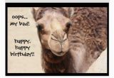 Hump Day Birthday Card Funny Camel Hump Day Birthday Card 2 Zazzle