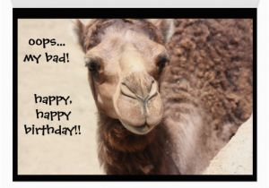 Hump Day Birthday Card Funny Camel Hump Day Birthday Card 2 Zazzle