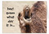 Hump Day Birthday Card Funny Camel Hump Day Birthday Card Zazzle Com