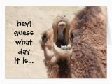 Hump Day Birthday Card Funny Camel Hump Day Birthday Card Zazzle Com