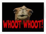 Hump Day Birthday Card Hump Day Camel whoot whoot Greeting Card Zazzle Ca