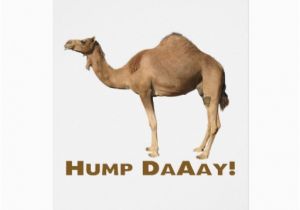 Hump Day Birthday Card Hump Day Greeting Card Zazzle