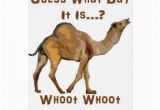 Hump Day Birthday Card Its Hump Day Greeting Cards Zazzle
