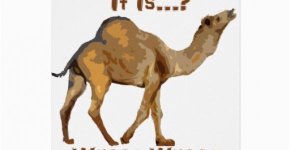 Hump Day Birthday Card Its Hump Day Greeting Cards Zazzle