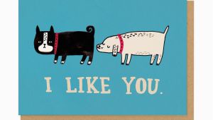 I Like You Birthday Card I Like You Greeting Card Ohh Deer