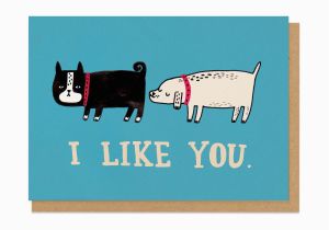 I Like You Birthday Card I Like You Greeting Card Ohh Deer