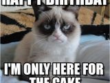 Insulting Birthday Memes Most Funniest Birthday Memes Let 39 S Insult People