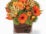 Interflora Birthday Flowers Clearly orange Container Flower Arrangement Interflora Nz