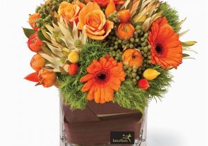 Interflora Birthday Flowers Clearly orange Container Flower Arrangement Interflora Nz