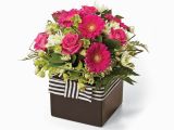 Interflora Birthday Flowers Princess Potted Flowers Flowers Nz Interflora New