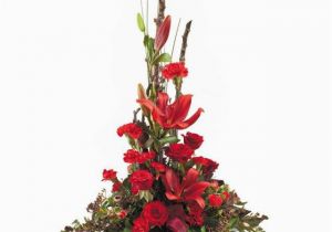 Interflora Birthday Flowers Traditionally Red Container Flowers Nz Interflora Nz