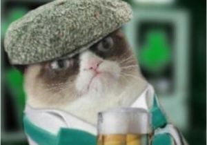 Irish Birthday Meme 25 Best Irish Dance Humor Ideas On Pinterest