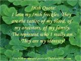 Irish Birthday Meme Best 25 Irish Memes Ideas On Pinterest Irish Puns