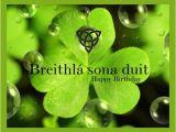 Irish Birthday Meme Irish Happy Birthday Speaking Irish Irish Birthday