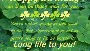 Irish Happy Birthday Meme 1000 Images About Ireland Irish Quotes Blessings