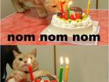 It S My Cat S Birthday Meme Cats Birthday Parties Damn Cool Pictures
