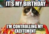 It S My Cat S Birthday Meme Grumpy Cat Birthday Birthday Pinterest Best Grumpy