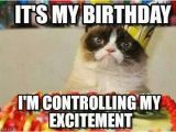 It S My Cat S Birthday Meme Grumpy Cat Birthday Birthday Pinterest Best Grumpy