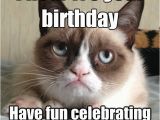 It S My Cat S Birthday Meme I Hear It 39 S Your Birthday Have Fun Celebrating while I