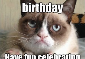 It S My Cat S Birthday Meme I Hear It 39 S Your Birthday Have Fun Celebrating while I