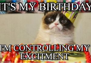 It S My Cat S Birthday Meme It 39 S My Birthday Grumpy Cat Birthday Meme On Memegen