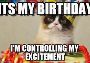 It S My Cat S Birthday Meme Its My Birthday Grumpy Cat Birthday Meme On Memegen