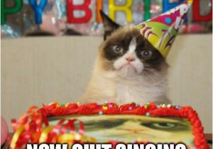 It S My Cat S Birthday Meme Quit Singing On My Cake Imgflip