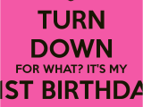 Its My 21st Birthday Meme Meme Turn Down for What Quotes Quotesgram