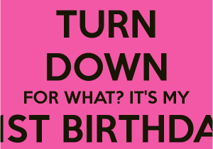 Its My 21st Birthday Meme Meme Turn Down for What Quotes Quotesgram