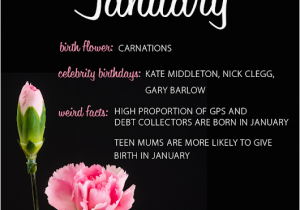 January Birthday Flowers January Birthday Flower Flowers Ideas for Review