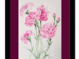 January Birthday Flowers January Birthday Flowers Pink Carnations original Watercolor