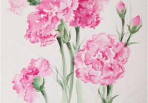 January Birthday Flowers January Birthday Flowers Pink Carnations original Watercolor