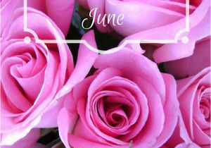 June Birthday Flowers 16 Best Ideas Images On Pinterest Birth Stones Birth