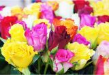 June Birthday Flowers Birth Flowers What they Say About You Fresh by Ftd