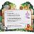 Jungle themed Birthday Party Invitations Jungle themed 1st Birthday Invitations Safari themed