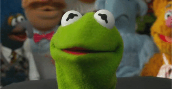 Kermit Birthday Memes 20 Kermit the Frog Memes that are Insanely Hilarious