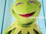 Kermit Birthday Memes 63 Best Comedy Kermit Memes Images On Pinterest