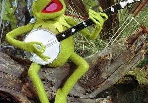 Kermit Birthday Memes Birthday Quotes Image Result for Kermit the Frog Happy