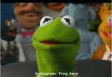 Kermit the Frog Birthday Meme 20 Kermit the Frog Memes that are Insanely Hilarious