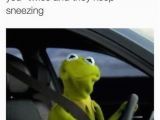 Kermit the Frog Birthday Meme 20 Kermit the Frog Memes that are Insanely Hilarious