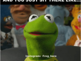 Kermit the Frog Birthday Meme 20 Kermit the Frog Memes that are Insanely Hilarious